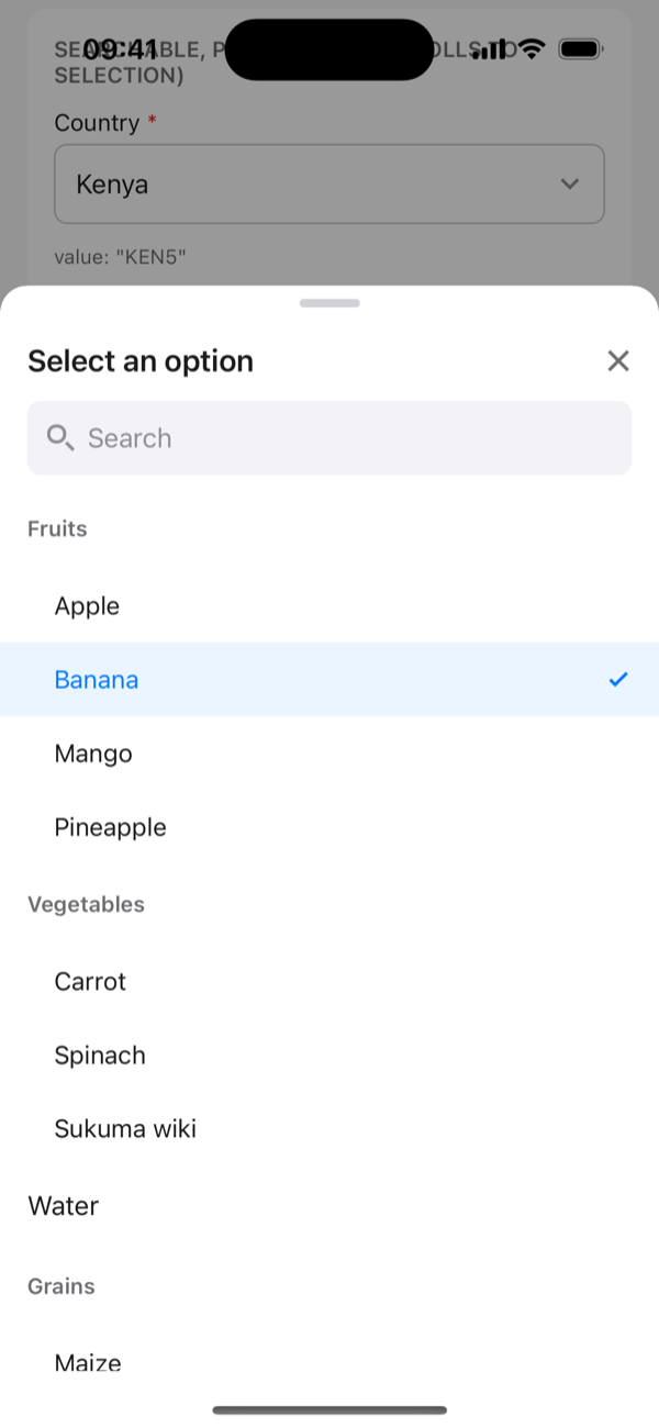 Grouped options